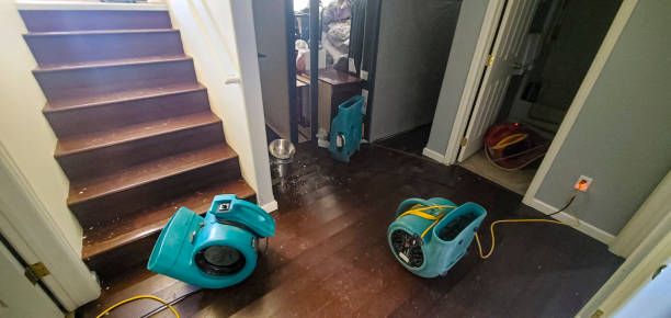 Best Ceiling water damage repair  in Rayville, LA