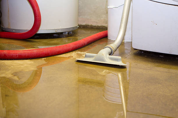 Best Water damage contractors near me  in Rayville, LA