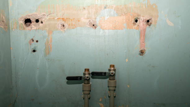 Best Basement water damage restoration  in Rayville, LA