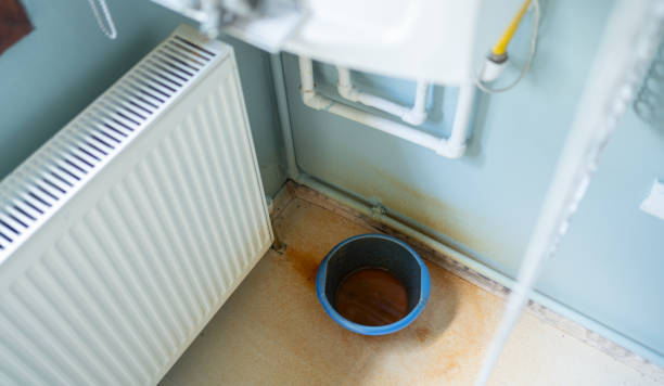 Best Carpet water damage restoration  in Rayville, LA