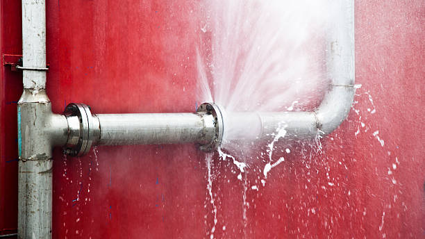 Best Water damage cleanup near me  in Rayville, LA